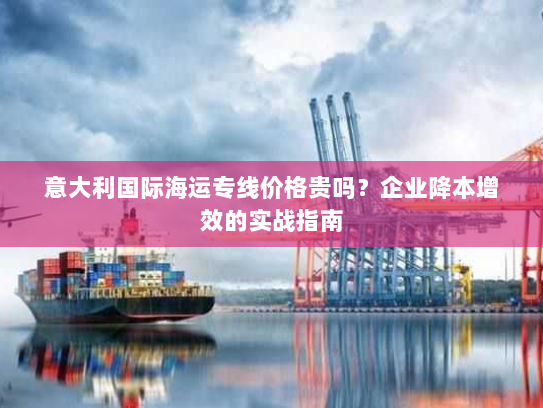 意大利国际海运专线价格贵吗？企业降本增效的实战指南