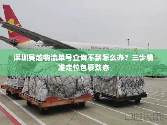 深圳吴越物流单号查询不到怎么办?三步精准定位包裹动态 深圳吴越物流单号查询不到怎么办?三步精准定位包裹动态