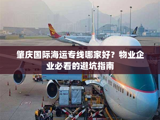 肇庆国际海运专线哪家好?物业企业必看的避坑指南 肇庆国际海运专线哪家好?物业企业必看的避坑指南