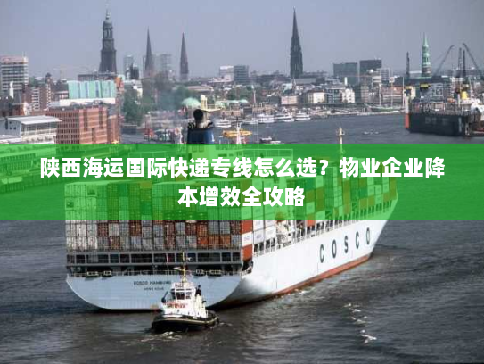 陕西海运国际快递专线怎么选？物业企业降本增效全攻略