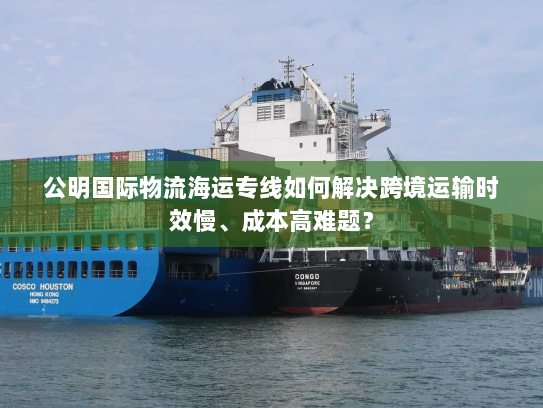 公明国际物流海运专线如何解决跨境运输时效慢、成本高难题？
