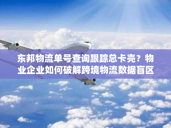东邦物流单号查询跟踪总卡壳？物业企业如何破解跨境物流数据盲区