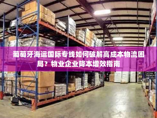 葡萄牙海运国际专线如何破解高成本物流困局?物业企业降本增效指南 葡萄牙海运国际专线如何破解高成本物流困局?物业企业降本增效指南