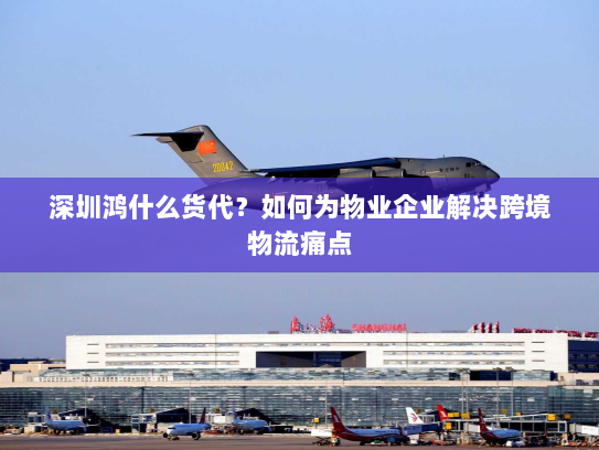 深圳鸿什么货代？如何为物业企业解决跨境物流痛点