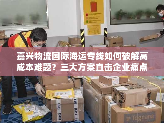 嘉兴物流国际海运专线如何破解高成本难题？三大方案直击企业痛点