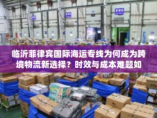 临沂菲律宾国际海运专线为何成为跨境物流新选择？时效与成本难题如何破解？
