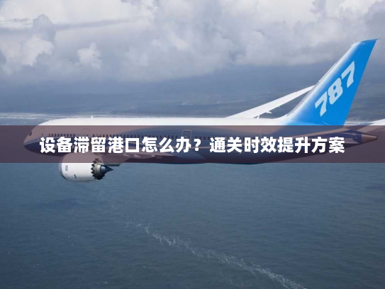 设备滞留港口怎么办?通关时效提升方案 设备滞留港口怎么办?通关时效提升方案