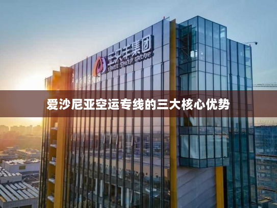 爱沙尼亚空运专线的三大核心优势