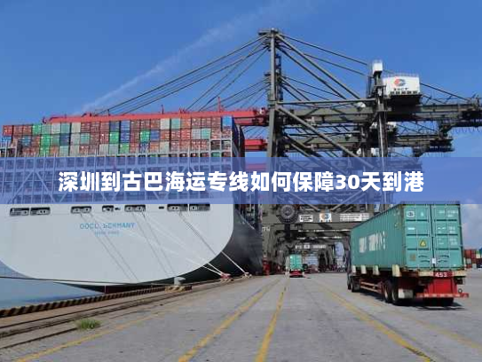 深圳到古巴海运专线如何保障30天到港 深圳到古巴海运专线如何保障30天到港