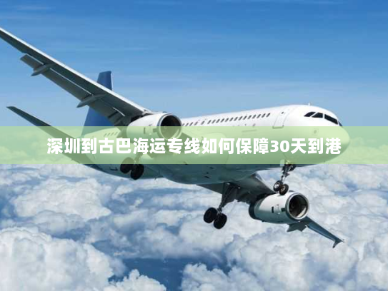 深圳到古巴海运专线如何保障30天到港 深圳到古巴海运专线如何保障30天到港