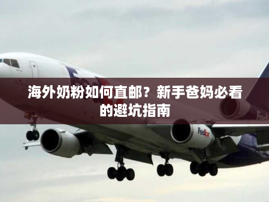 海外奶粉如何直邮?新手爸妈必看的避坑指南 海外奶粉如何直邮?新手爸妈必看的避坑指南