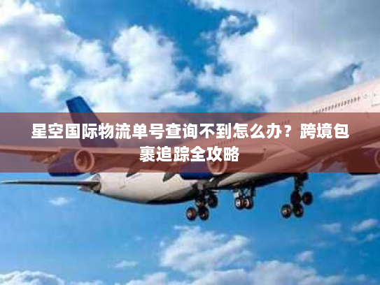 星空国际物流单号查询不到怎么办？跨境包裹追踪全攻略