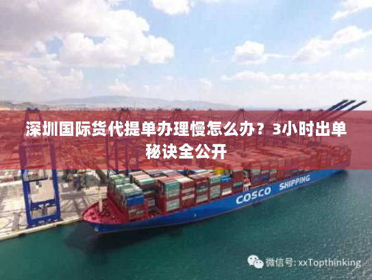 深圳国际货代提单办理慢怎么办?3小时出单秘诀全公开 深圳国际货代提单办理慢怎么办?3小时出单秘诀全公开
