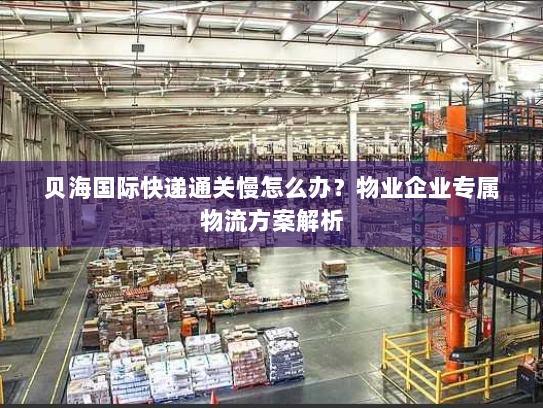 贝海国际快递通关慢怎么办？物业企业专属物流方案解析