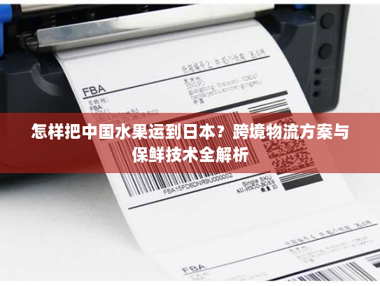 怎样把中国水果运到日本?跨境物流方案与保鲜技术全解析 怎样把中国水果运到日本?跨境物流方案与保鲜技术全解析