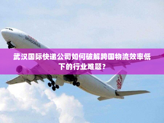 武汉国际快递公司如何破解跨国物流效率低下的行业难题? 武汉国际快递公司如何破解跨国物流效率低下的行业难题?
