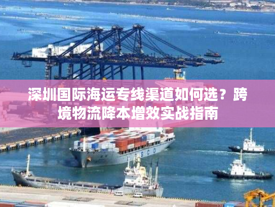 深圳国际海运专线渠道如何选?跨境物流降本增效实战指南 深圳国际海运专线渠道如何选?跨境物流降本增效实战指南
