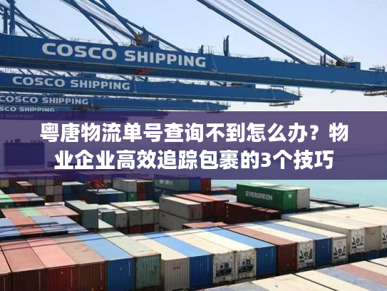 粤唐物流单号查询不到怎么办?物业企业高效追踪包裹的3个技巧 粤唐物流单号查询不到怎么办?物业企业高效追踪包裹的3个技巧