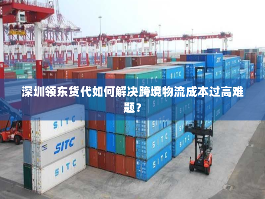 深圳领东货代如何解决跨境物流成本过高难题? 深圳领东货代如何解决跨境物流成本过高难题?