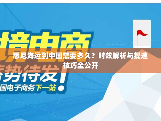 悉尼海运到中国需要多久?时效解析与提速技巧全公开 悉尼海运到中国需要多久?时效解析与提速技巧全公开