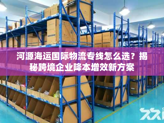 河源海运国际物流专线怎么选？揭秘跨境企业降本增效新方案