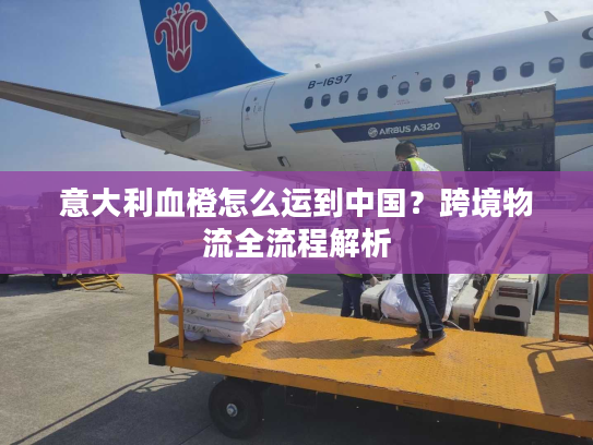 意大利血橙怎么运到中国？跨境物流全流程解析