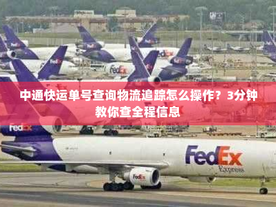 中通快运单号查询物流追踪怎么操作?3分钟教你查全程信息 中通快运单号查询物流追踪怎么操作?3分钟教你查全程信息