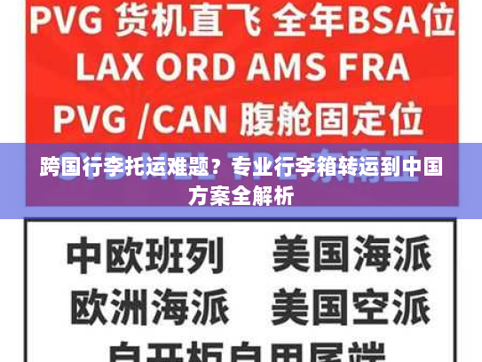 跨国行李托运难题？专业行李箱转运到中国方案全解析