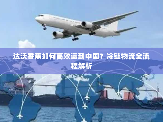 达沃香蕉如何高效运到中国?冷链物流全流程解析 达沃香蕉如何高效运到中国?冷链物流全流程解析