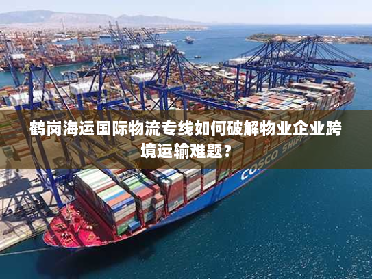 鹤岗海运国际物流专线如何破解物业企业跨境运输难题? 鹤岗海运国际物流专线如何破解物业企业跨境运输难题?
