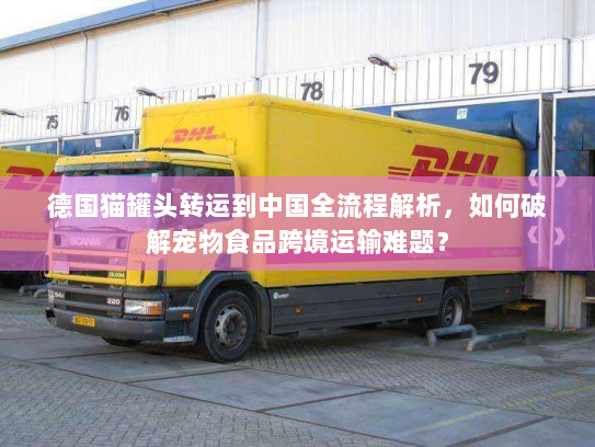 德国猫罐头转运到中国全流程解析，如何破解宠物食品跨境运输难题？