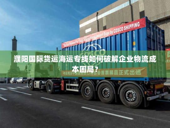 濮阳国际货运海运专线如何破解企业物流成本困局？