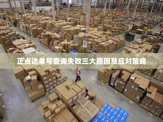 正点达单号查询失败三大原因及应对策略