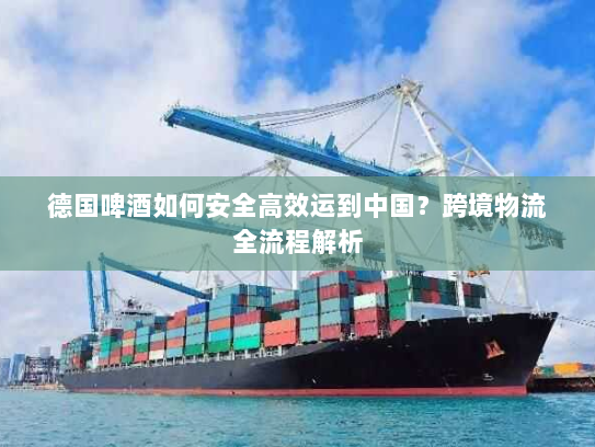 德国啤酒如何安全高效运到中国？跨境物流全流程解析