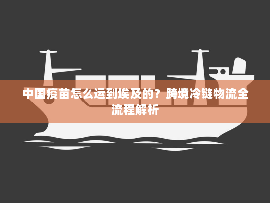 中国疫苗怎么运到埃及的？跨境冷链物流全流程解析