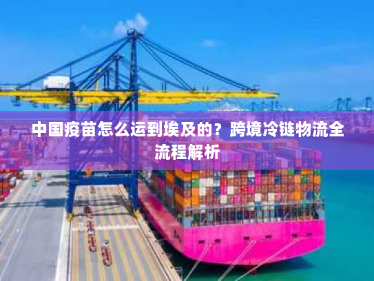 中国疫苗怎么运到埃及的？跨境冷链物流全流程解析