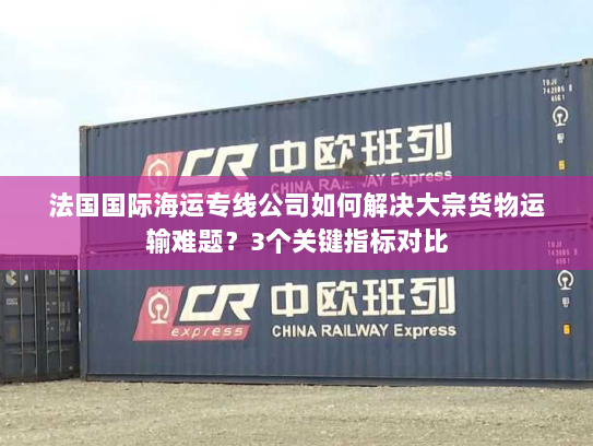 法国国际海运专线公司如何解决大宗货物运输难题？3个关键指标对比