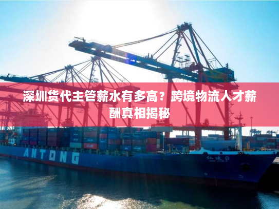深圳货代主管薪水有多高?跨境物流人才薪酬真相揭秘 深圳货代主管薪水有多高?跨境物流人才薪酬真相揭秘
