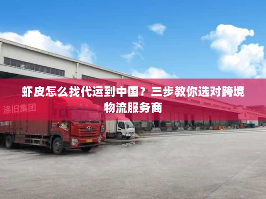 虾皮怎么找代运到中国？三步教你选对跨境物流服务商