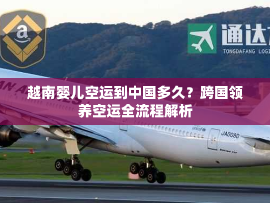 越南婴儿空运到中国多久？跨国领养空运全流程解析