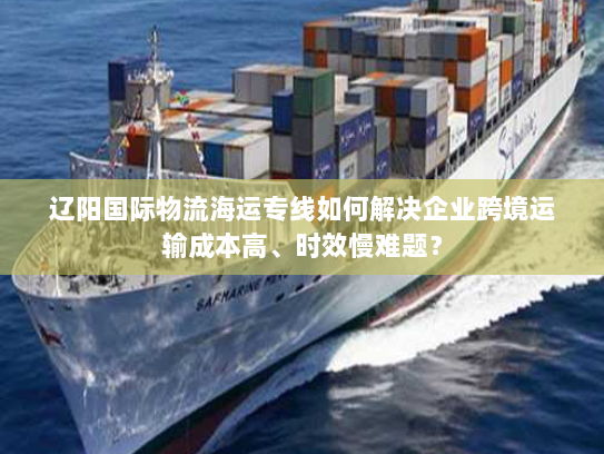 辽阳国际物流海运专线如何解决企业跨境运输成本高、时效慢难题？