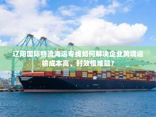辽阳国际物流海运专线如何解决企业跨境运输成本高、时效慢难题？