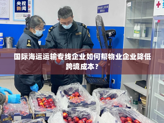 国际海运运输专线企业如何帮物业企业降低跨境成本？