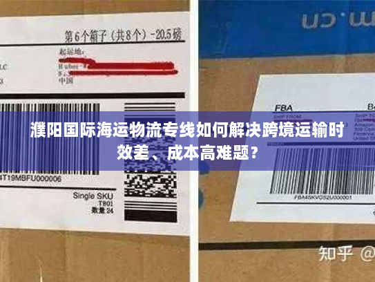 濮阳国际海运物流专线如何解决跨境运输时效差、成本高难题? 濮阳国际海运物流专线如何解决跨境运输时效差、成本高难题?