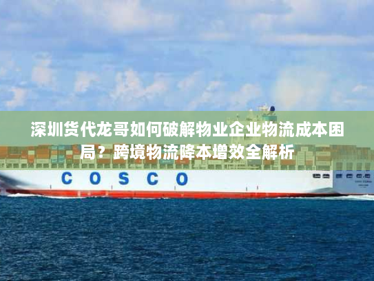 深圳货代龙哥如何破解物业企业物流成本困局?跨境物流降本增效全解析 深圳货代龙哥如何破解物业企业物流成本困局?跨境物流降本增效全解析