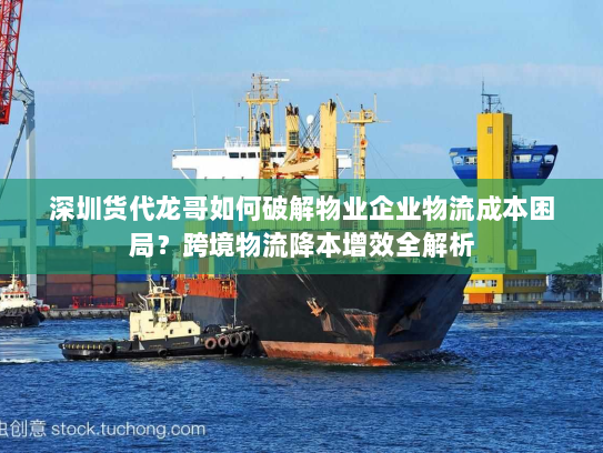 深圳货代龙哥如何破解物业企业物流成本困局?跨境物流降本增效全解析 深圳货代龙哥如何破解物业企业物流成本困局?跨境物流降本增效全解析
