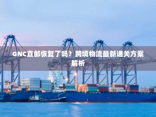 GNC直邮恢复了吗?跨境物流最新通关方案解析 GNC直邮恢复了吗?跨境物流最新通关方案解析