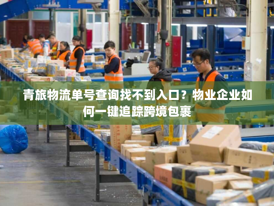 青旅物流单号查询找不到入口？物业企业如何一键追踪跨境包裹