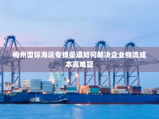 梅州国际海运专线渠道如何解决企业物流成本高难题