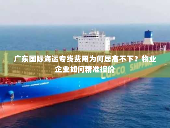 广东国际海运专线费用为何居高不下？物业企业如何精准控价
